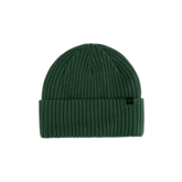 Forecast Beanie - Pine