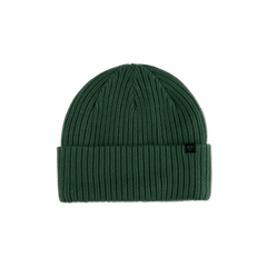 Forecast Beanie - Pine
